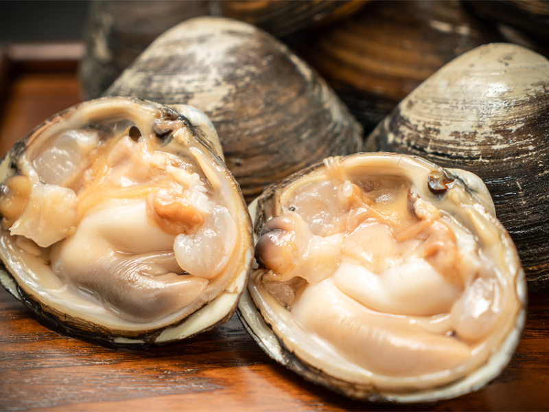 北海道産生うに